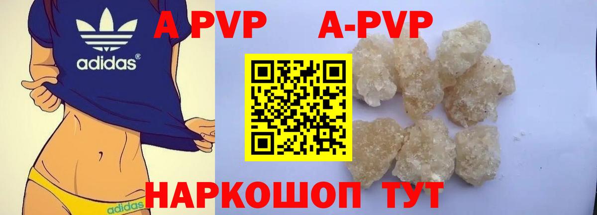 Alfa_PVP СК КРИС Гатчина