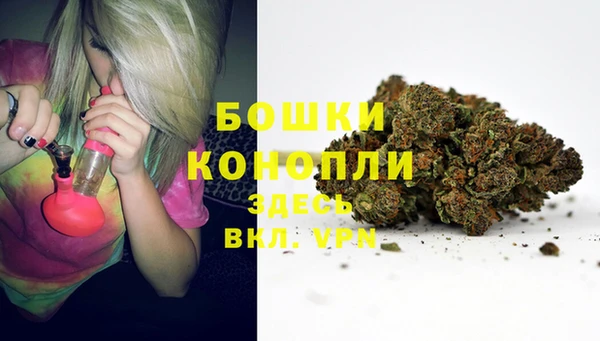 эйфоретик Беломорск