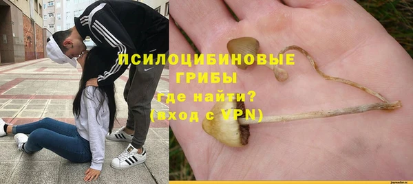 эйфоретик Беломорск