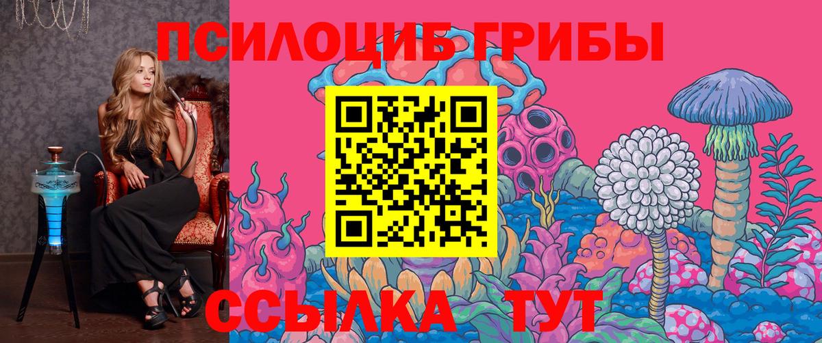 Галлюциногенные грибы ЛСД Гатчина