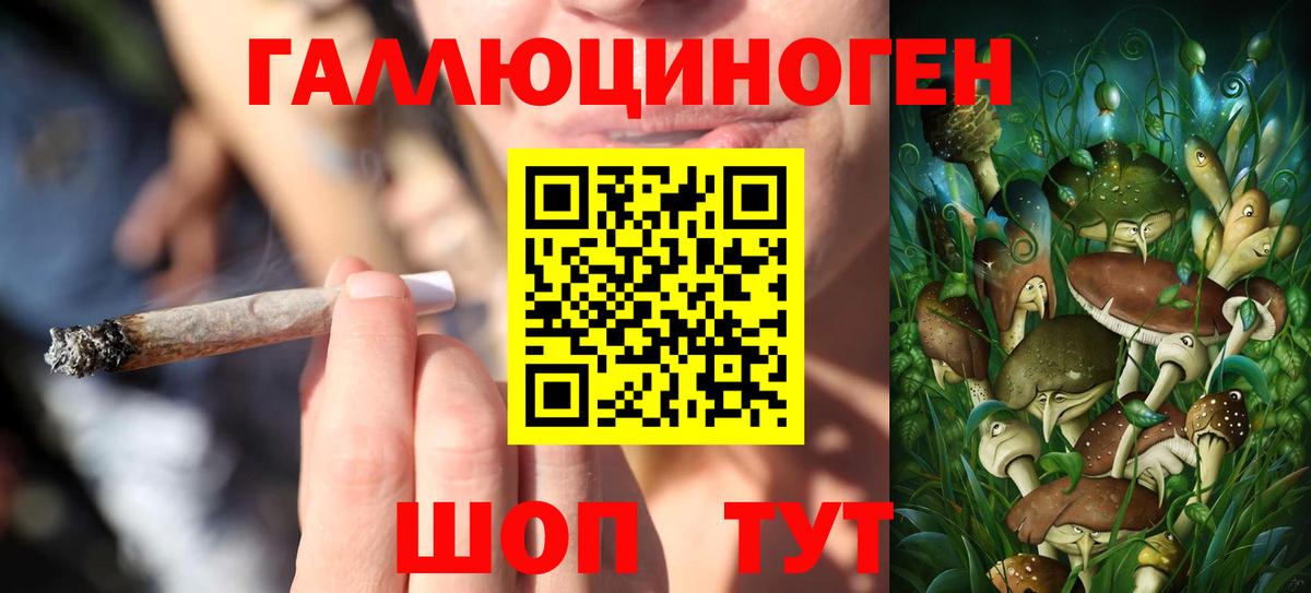 Псилоцибиновые грибы MAGIC MUSHROOMS  Гатчина 