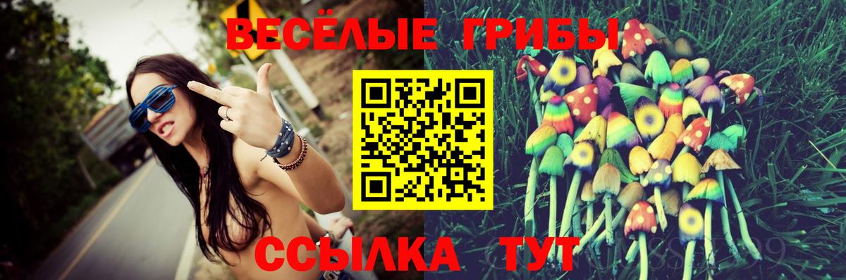 Галлюциногенные грибы MAGIC MUSHROOMS  Вход с VPN  Псилоцибиновые грибы мицелий  Гатчина 
