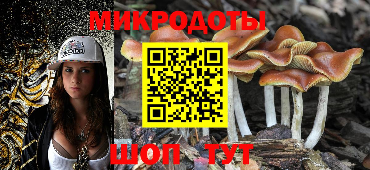 Галлюциногенные грибы Psilocybe  Гатчина  Галлюциногенные грибы Psilocybe 