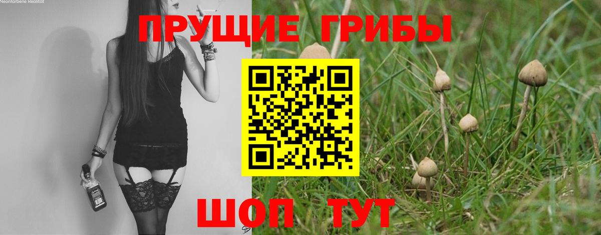 Галлюциногенные грибы ЛСД Гатчина